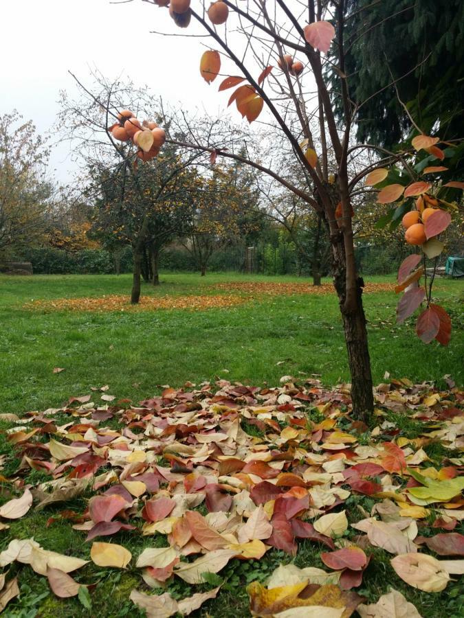 Bed and Breakfast R&B Albero Cavo Parma Exterior foto