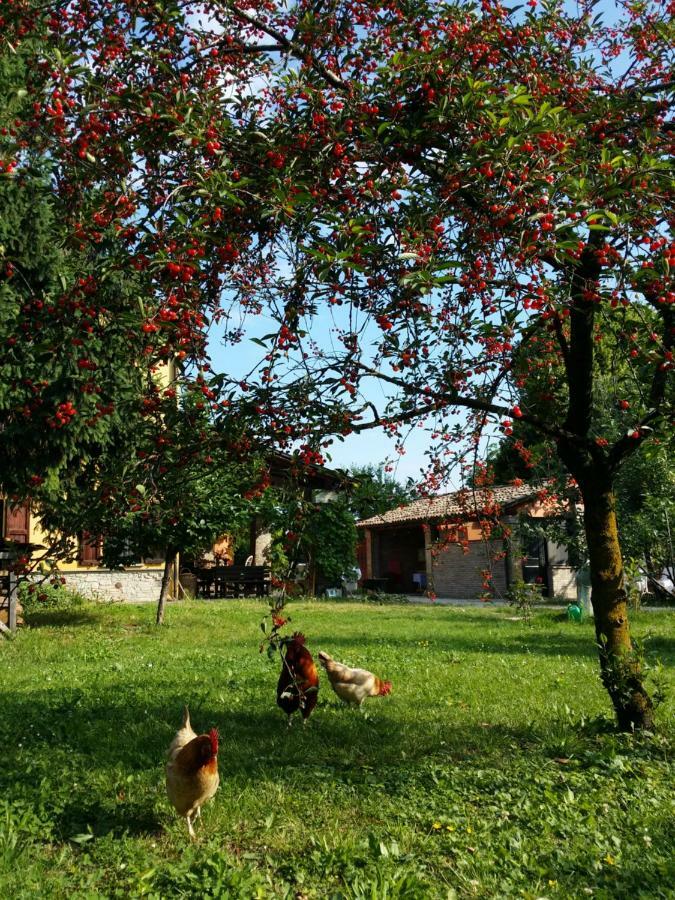 Bed and Breakfast R&B Albero Cavo Parma Exterior foto
