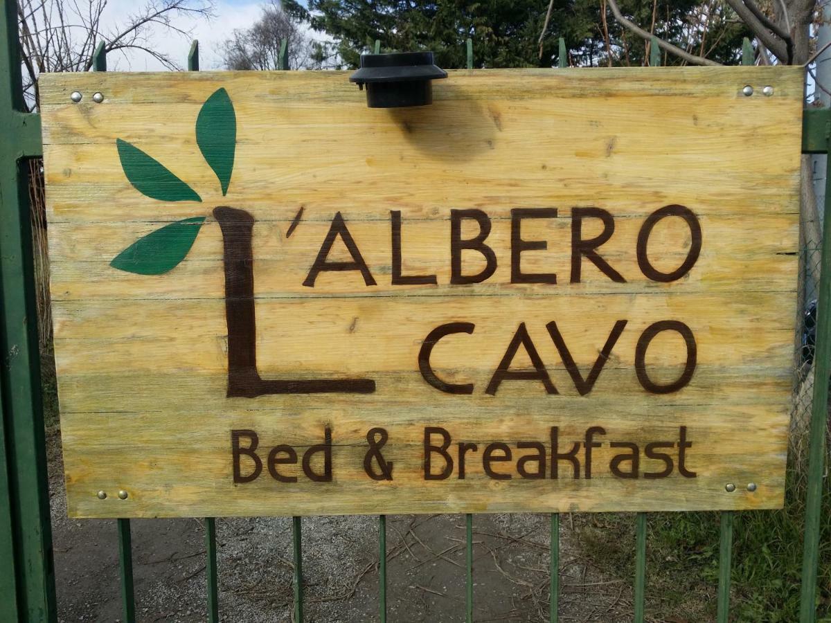 Bed and Breakfast R&B Albero Cavo Parma Exterior foto