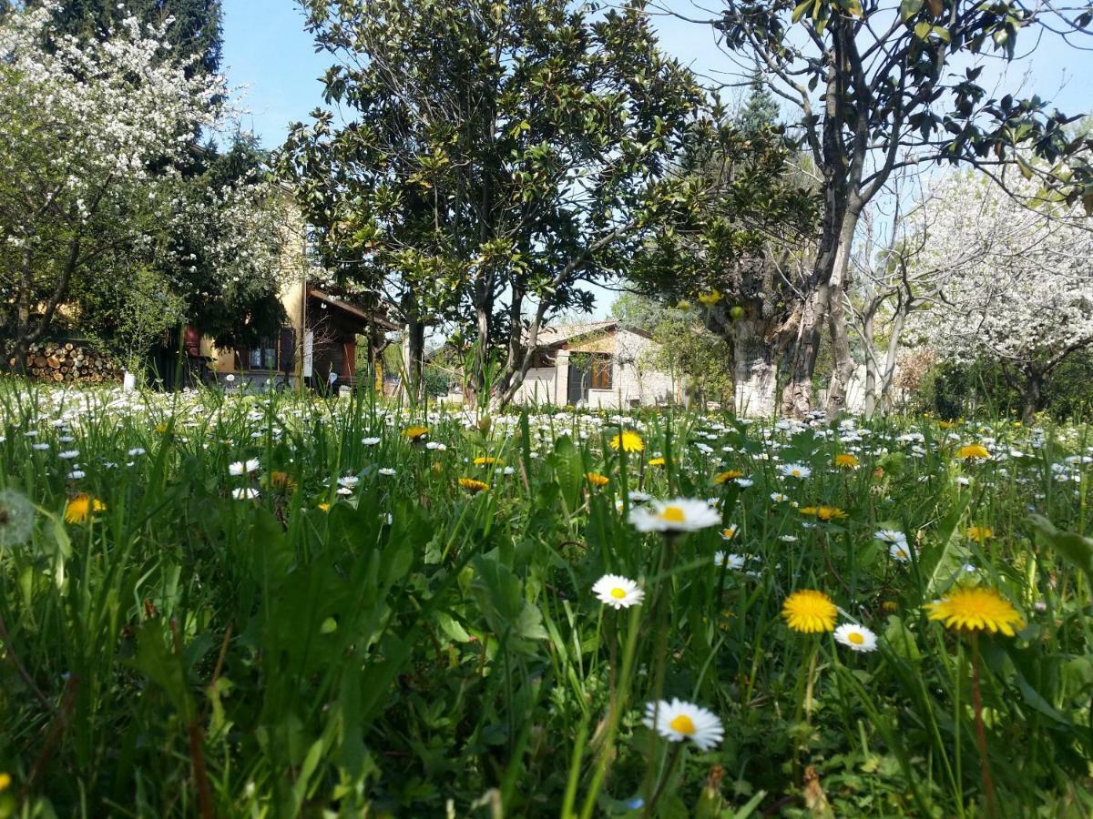Bed and Breakfast R&B Albero Cavo Parma Exterior foto