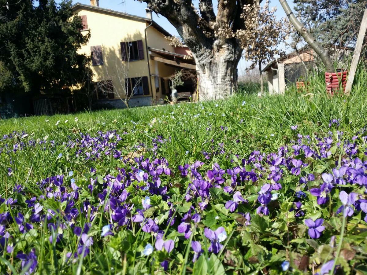 Bed and Breakfast R&B Albero Cavo Parma Exterior foto