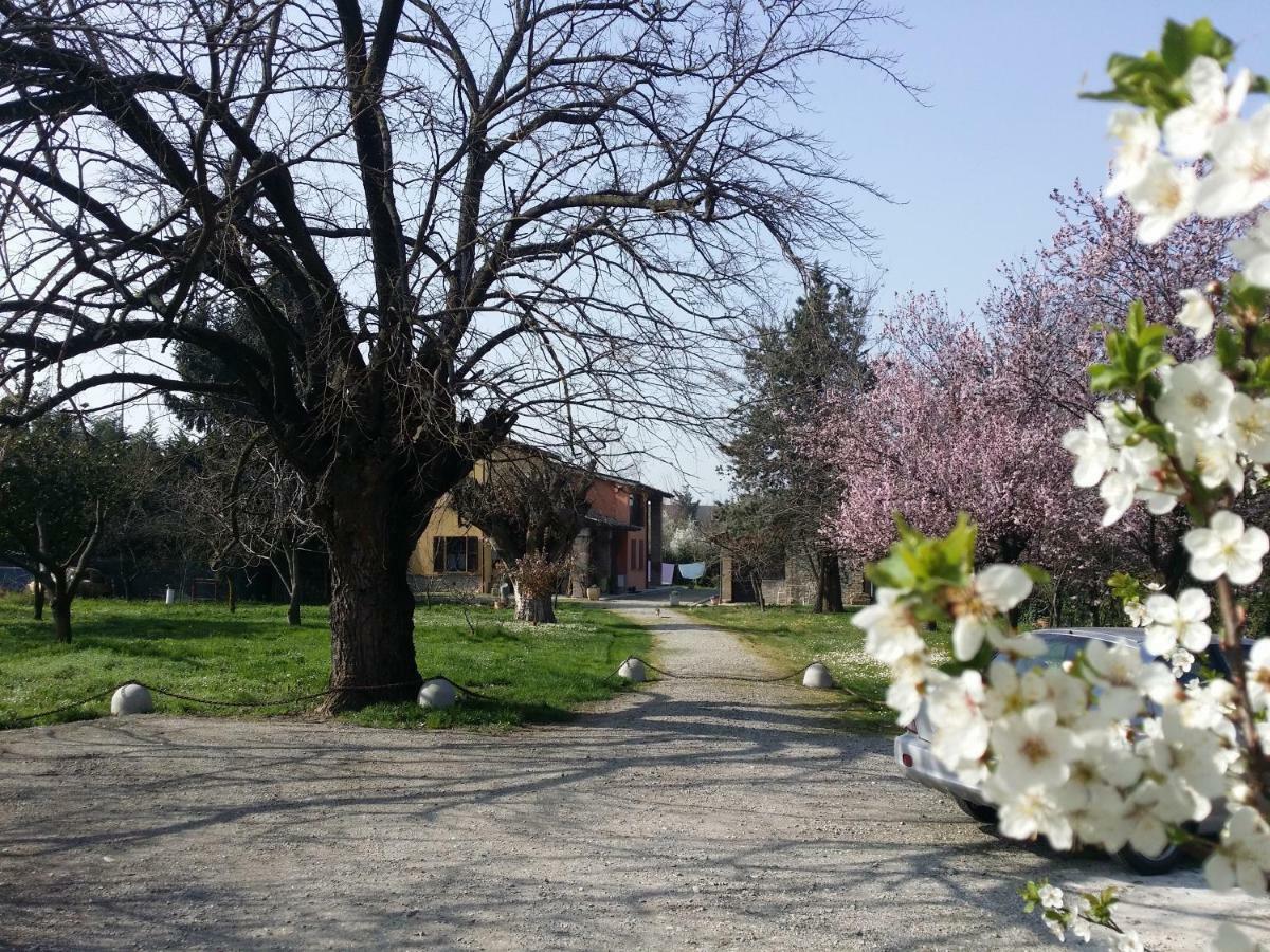 Bed and Breakfast R&B Albero Cavo Parma Exterior foto